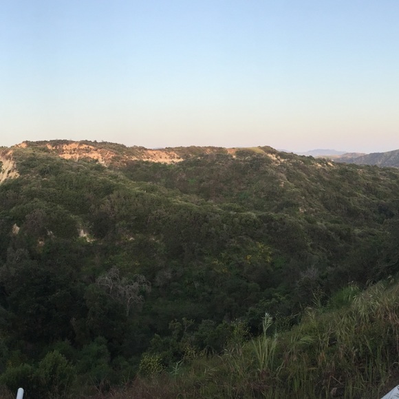 Meet your Posher, Dani - Picture 1 of 1